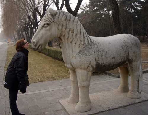 tourists_carole_horse